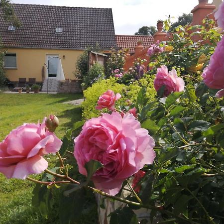 Strandhaus Mariflor Brook Eksteriør billede