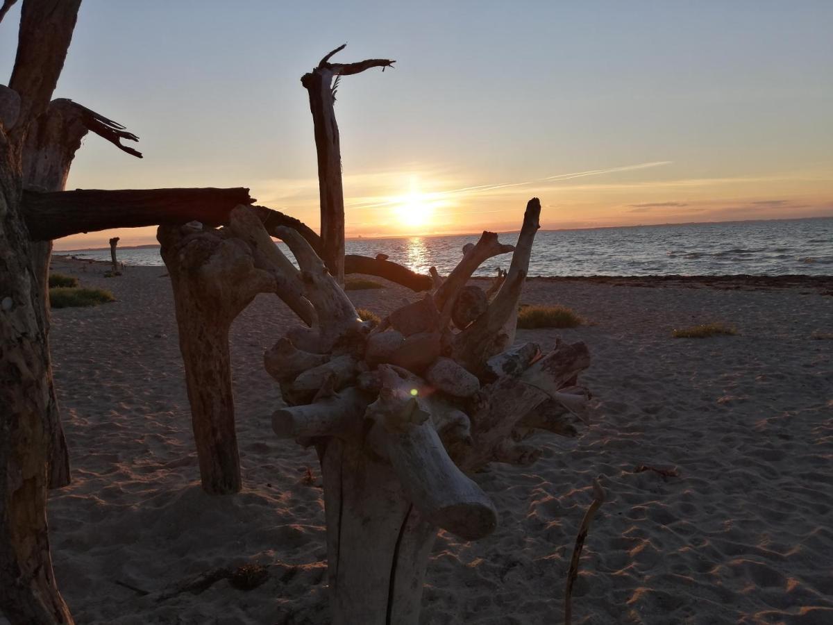 Strandhaus Mariflor Brook Eksteriør billede